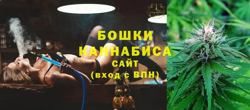 где купить наркоту  Мурманск  Шишки марихуана Amnesia 